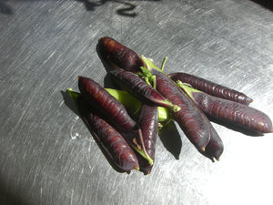 Purple podded peas! yum