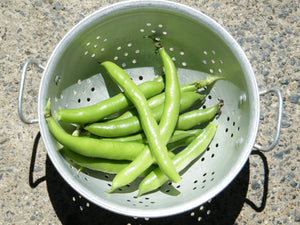 Broadbeans, Fava Beans... ful