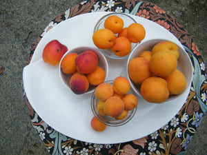 You can never have too many apricots